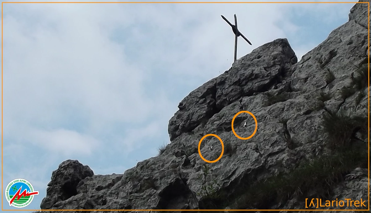 Involuzione tecnica sul Trii Cioo - Quattro Fix