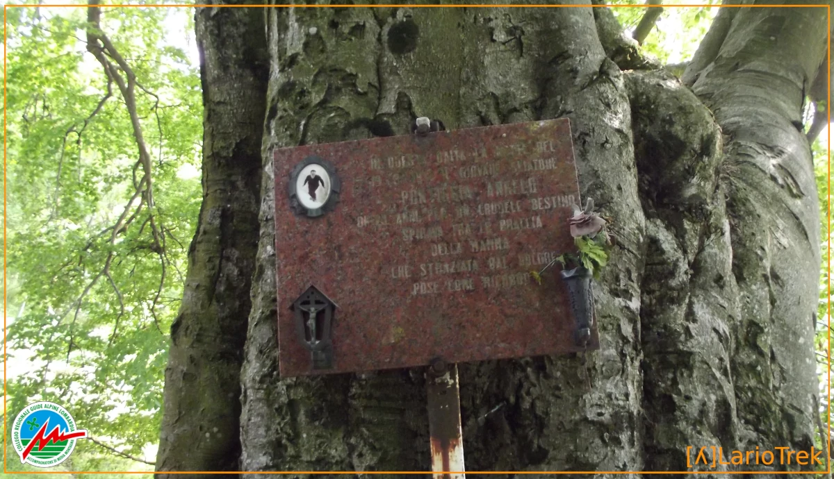 La lapide a memoria di Angelo Pontiggia