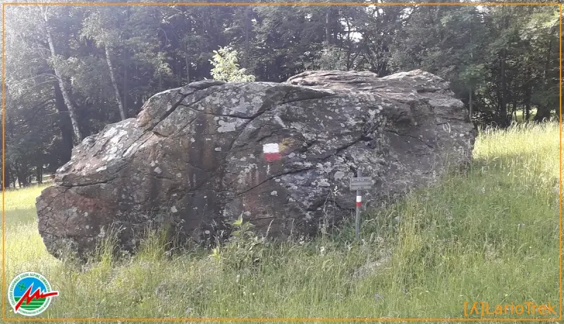 Sass De La Pegura