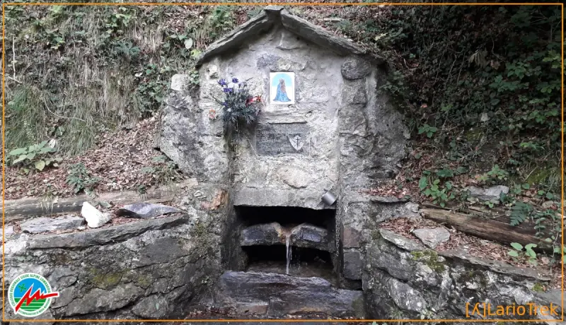 Fontanino Sambrosera
