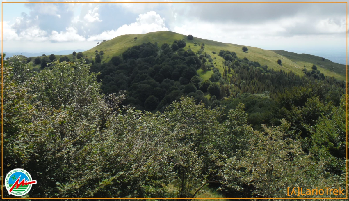 Landscape - Cima Monte Rai