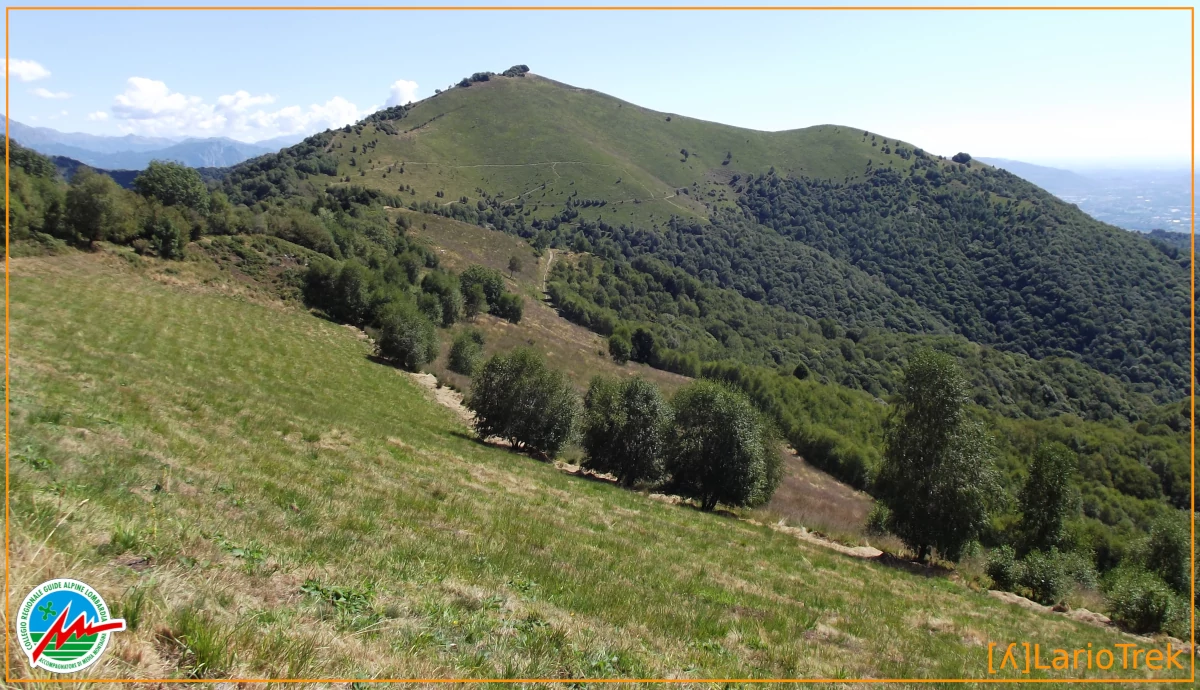 Landscape - Dosmat