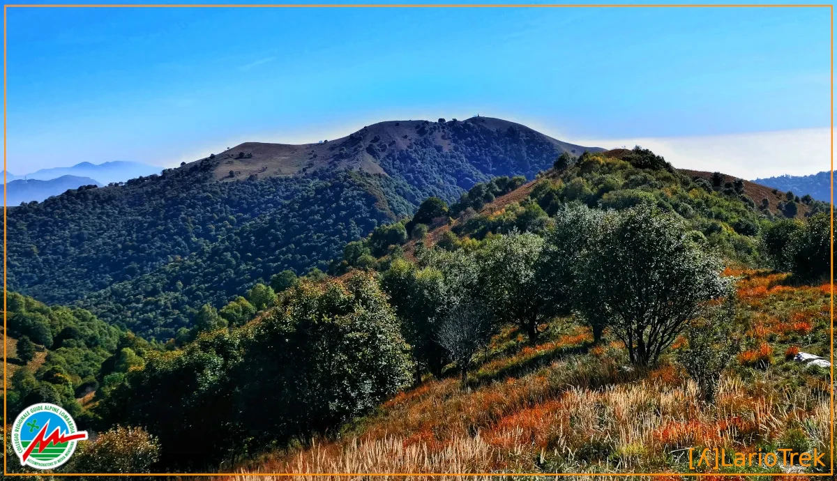 Monte di Palanzo - Immagine di vetta