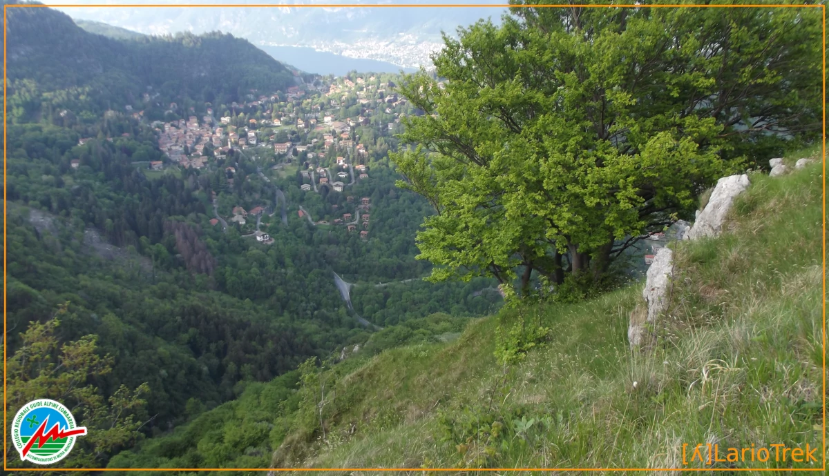 Landscape - Doss del Fòò