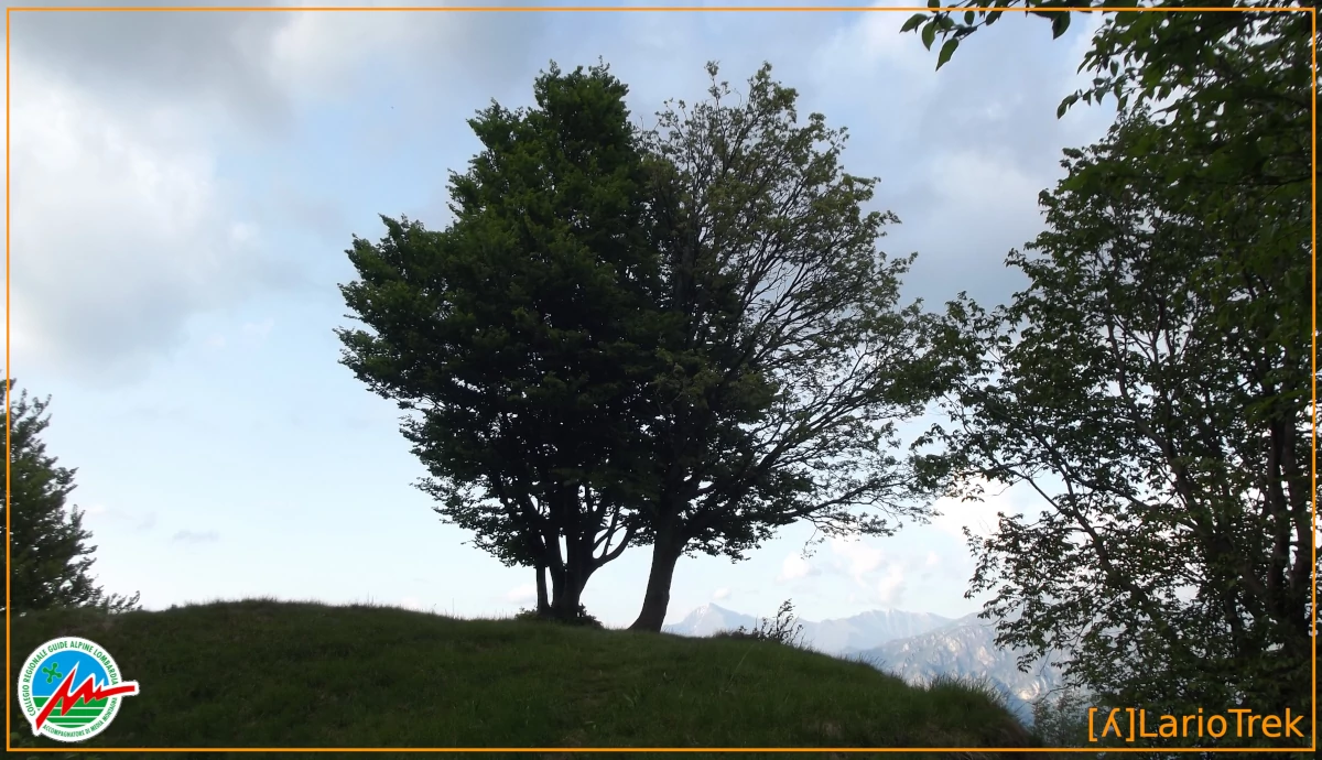 Doss del Fòò - Immagine di vetta