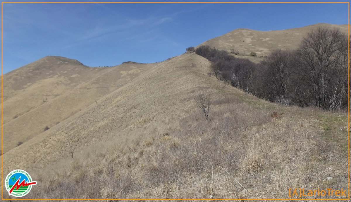 Landscape - Cima del Costone