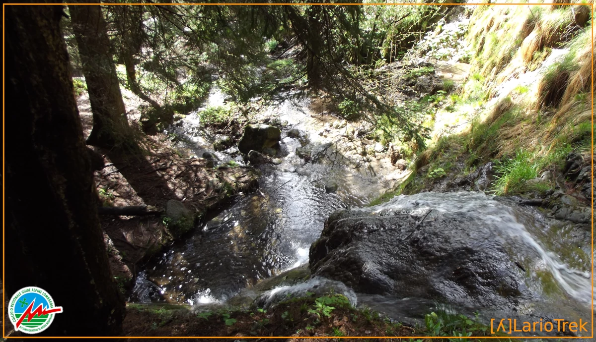 Le Cascate della Menaresta